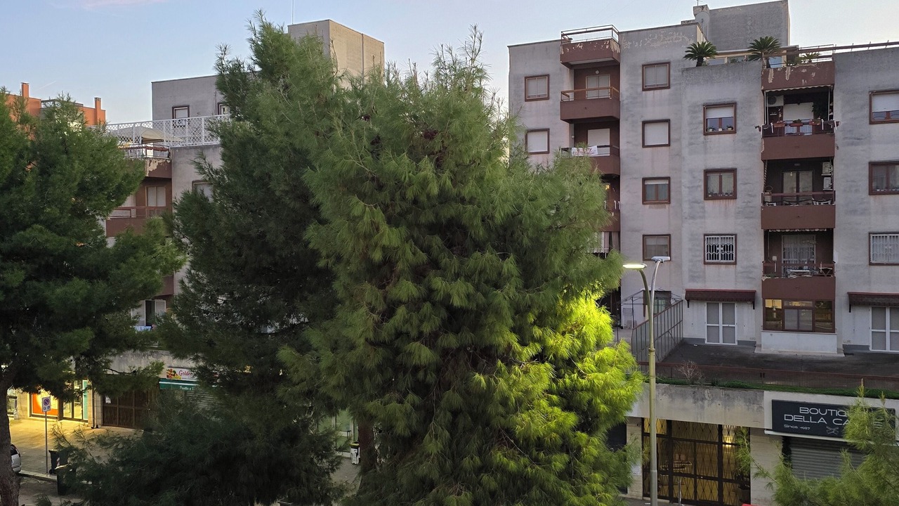 Photo of Others in Barletta
