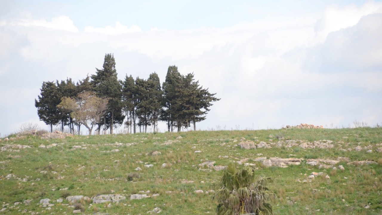 Photo of Others in Scala di Furno