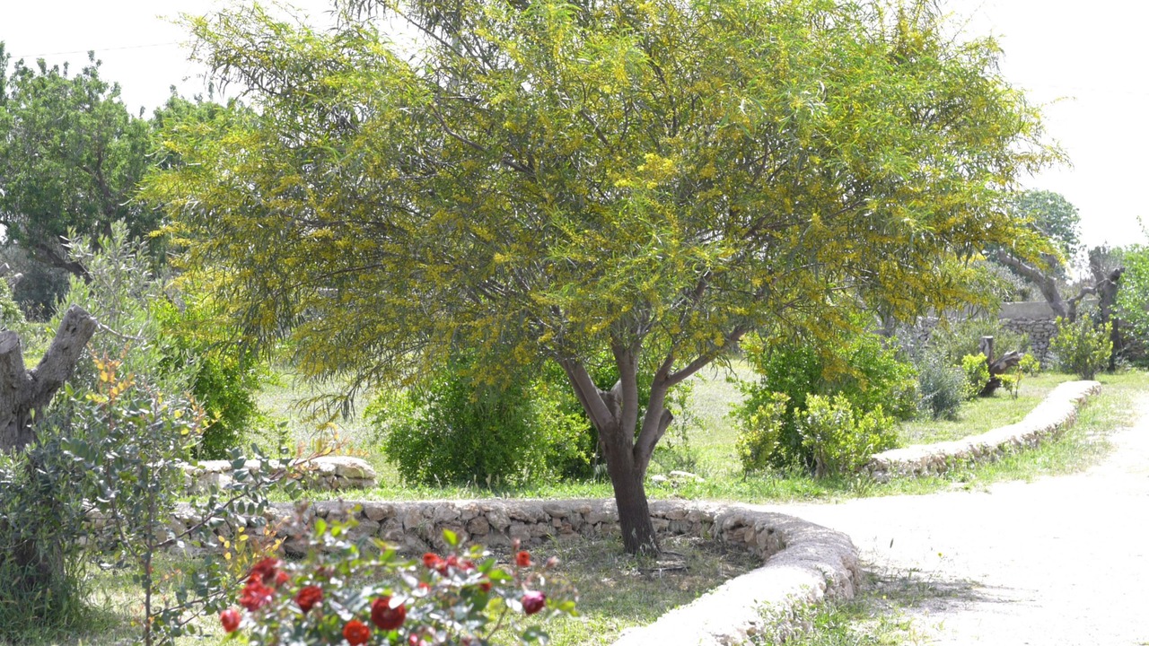 Photo of Outdoor in Il Monte