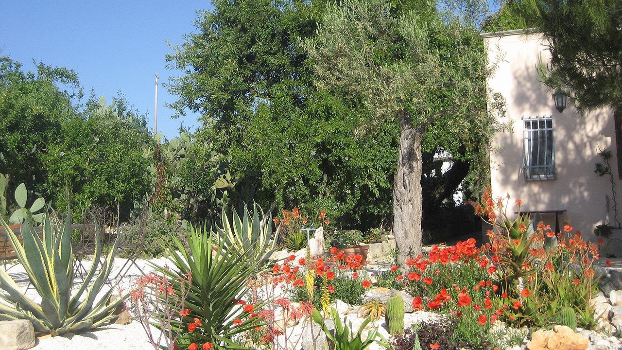 Photo of Outdoor in Cozzana