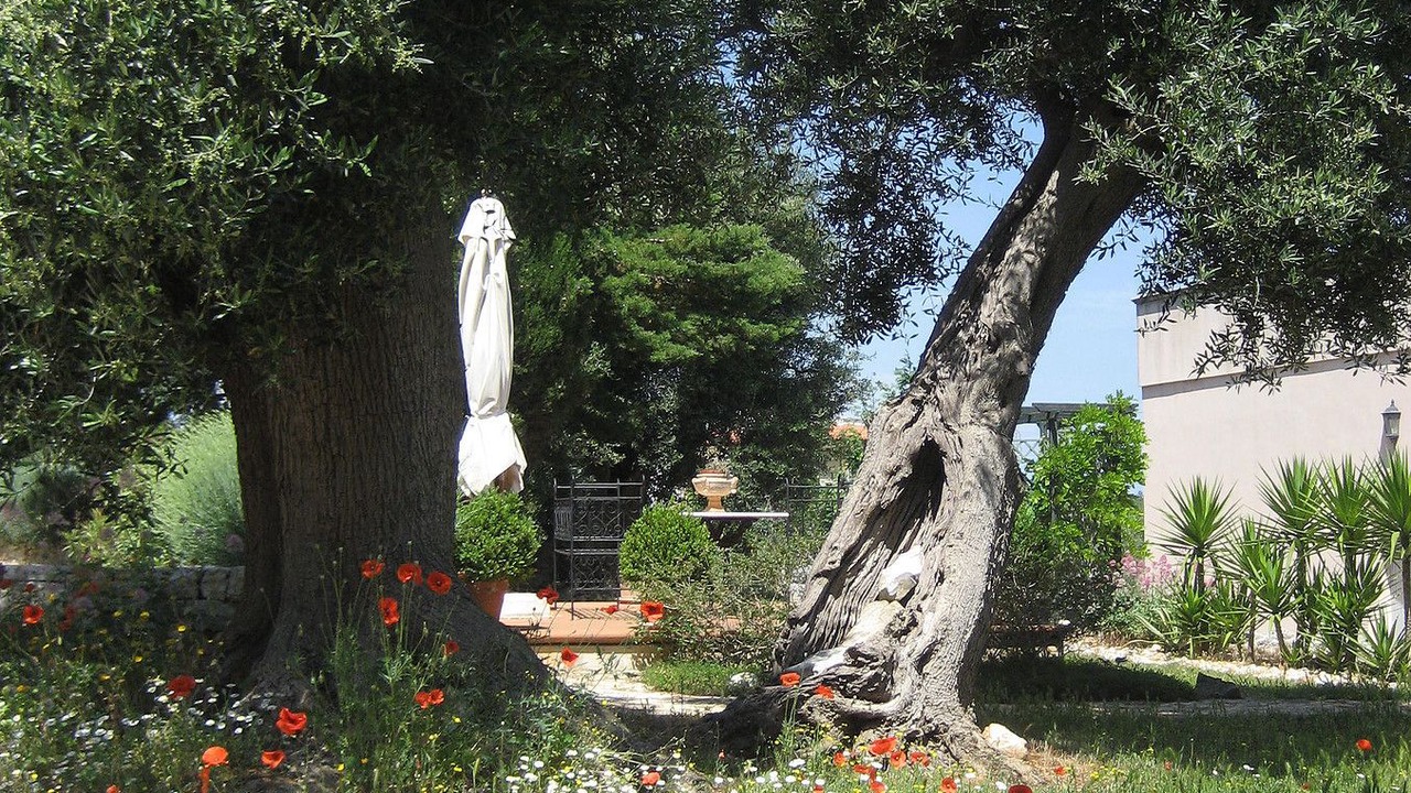 Photo of Outdoor in Cozzana