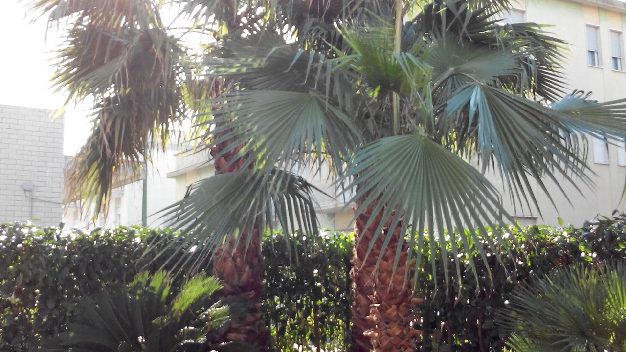 Photo of Outdoor in Centro Storico