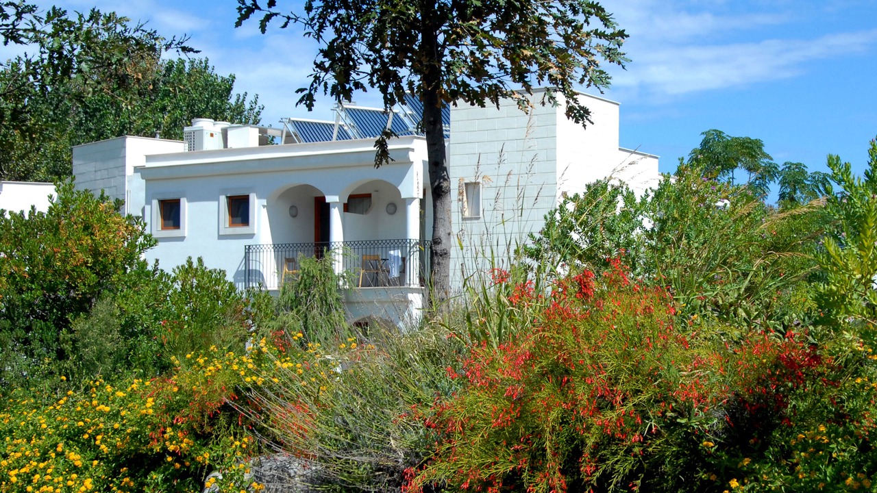 Photo of Outdoor in Peschici