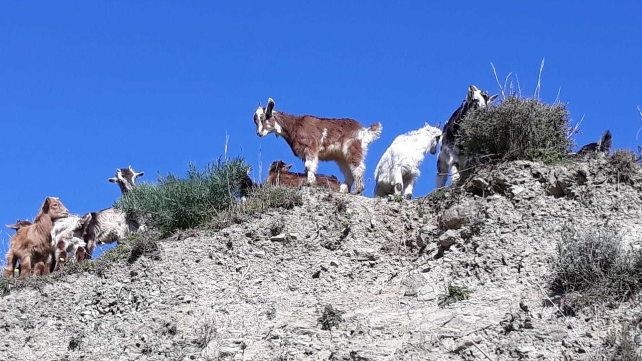 Photo of Others in Porto Salvo