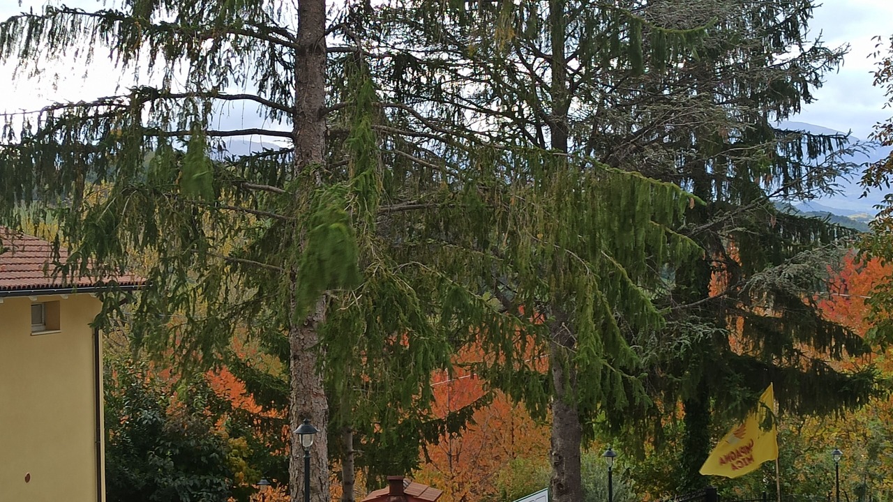 Photo of Outdoor in Force