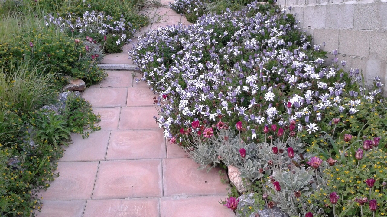Photo of Outdoor in Fluminimaggiore