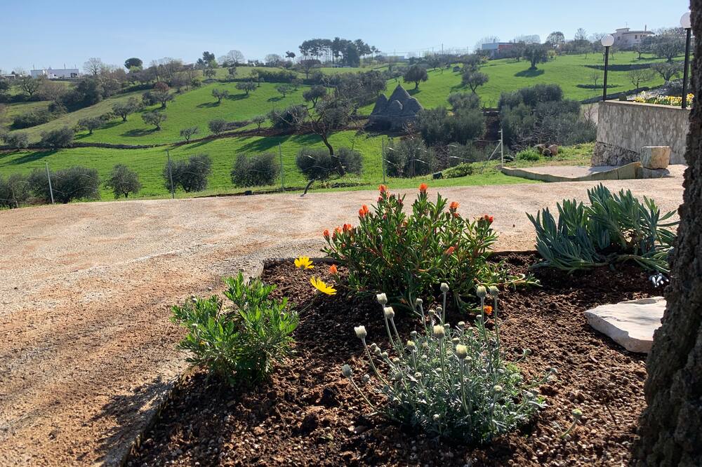 Photo of Outdoor in Martina Franca