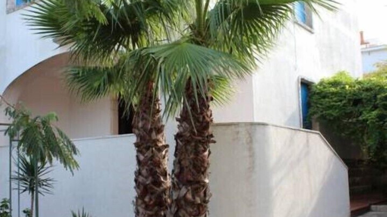 Photo of Outdoor in Torre Canne