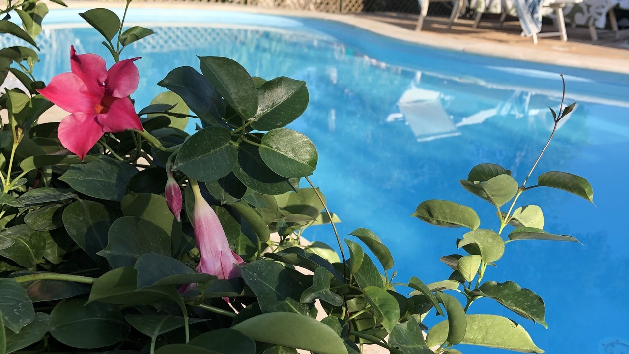 Photo of Outdoor in Is Molas