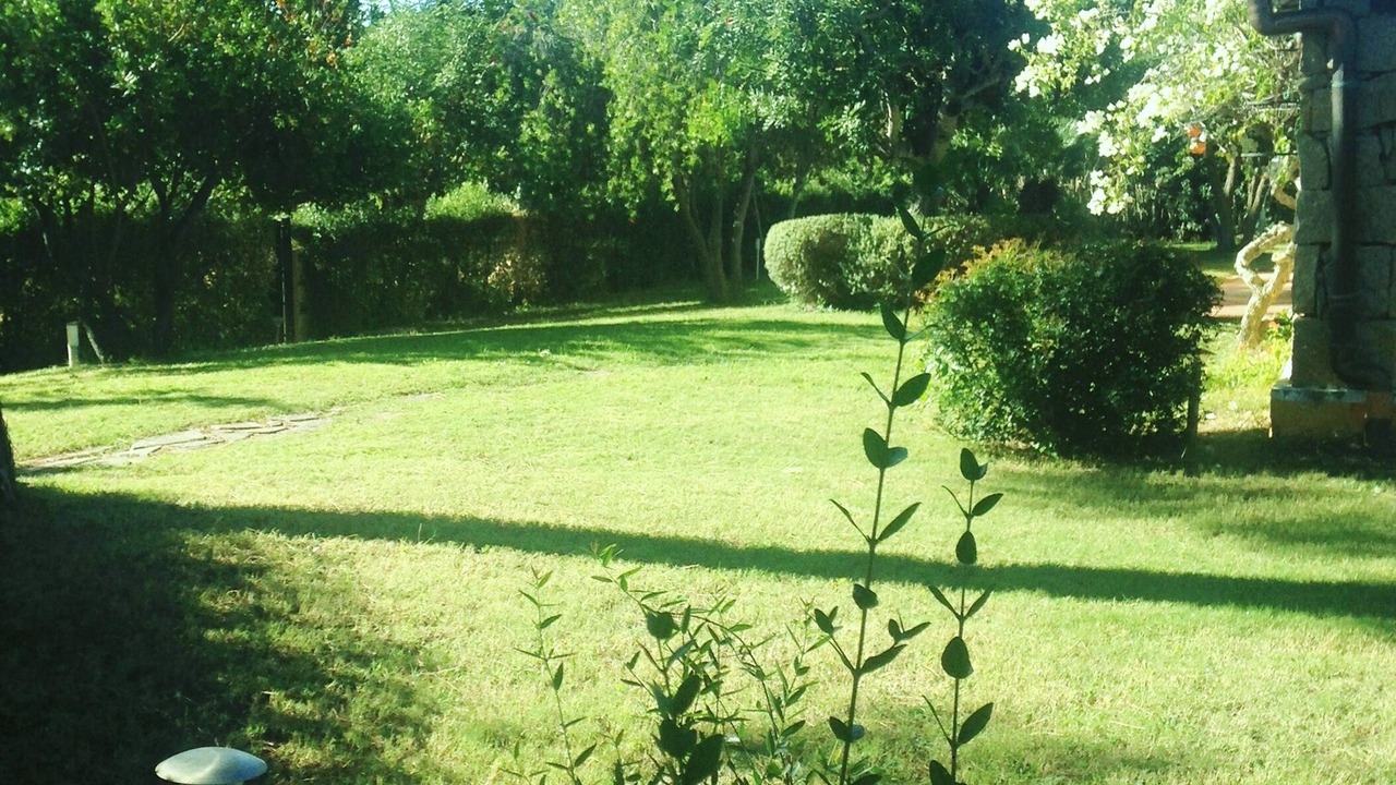 Photo of Outdoor in Santa Margherita di Pula