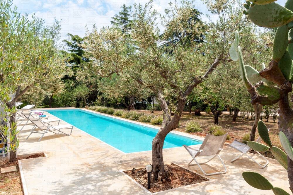 Photo of Outdoor in Impalata