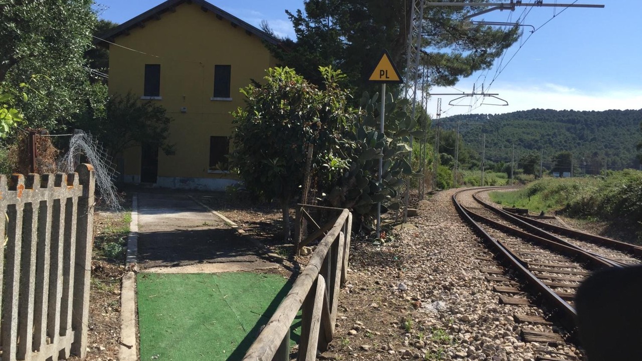 Photo of Outdoor in Vico del Gargano