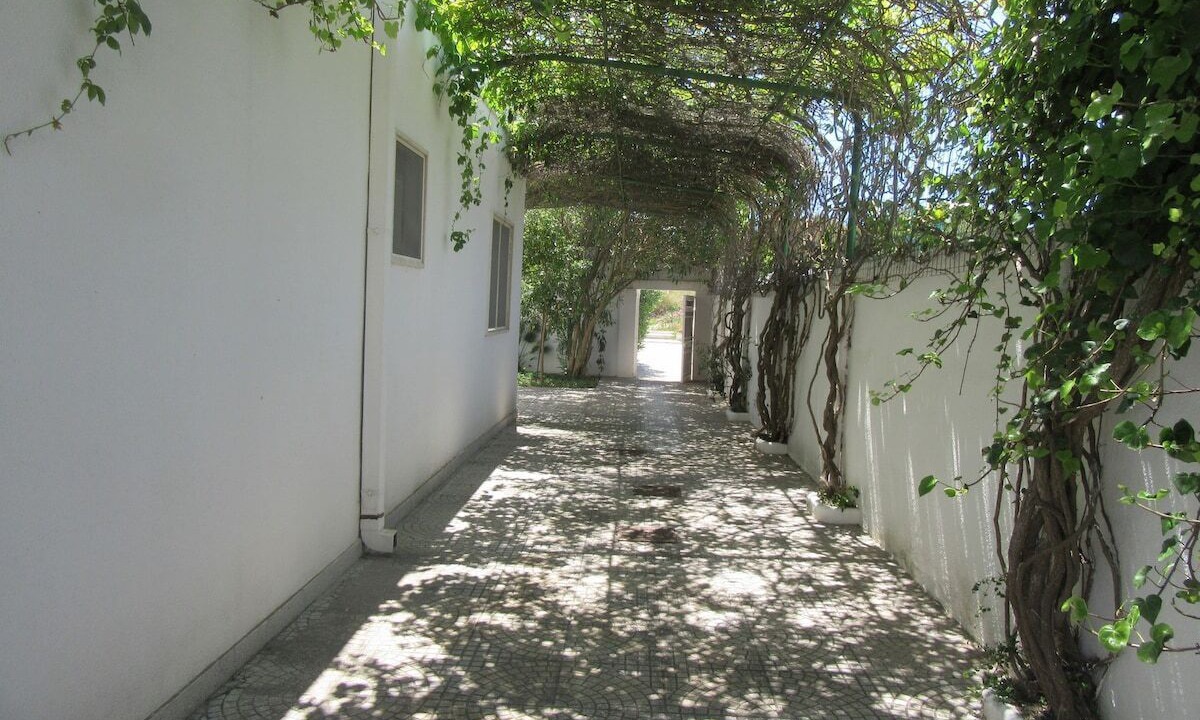 Photo of Outdoor in Punta Prosciutto