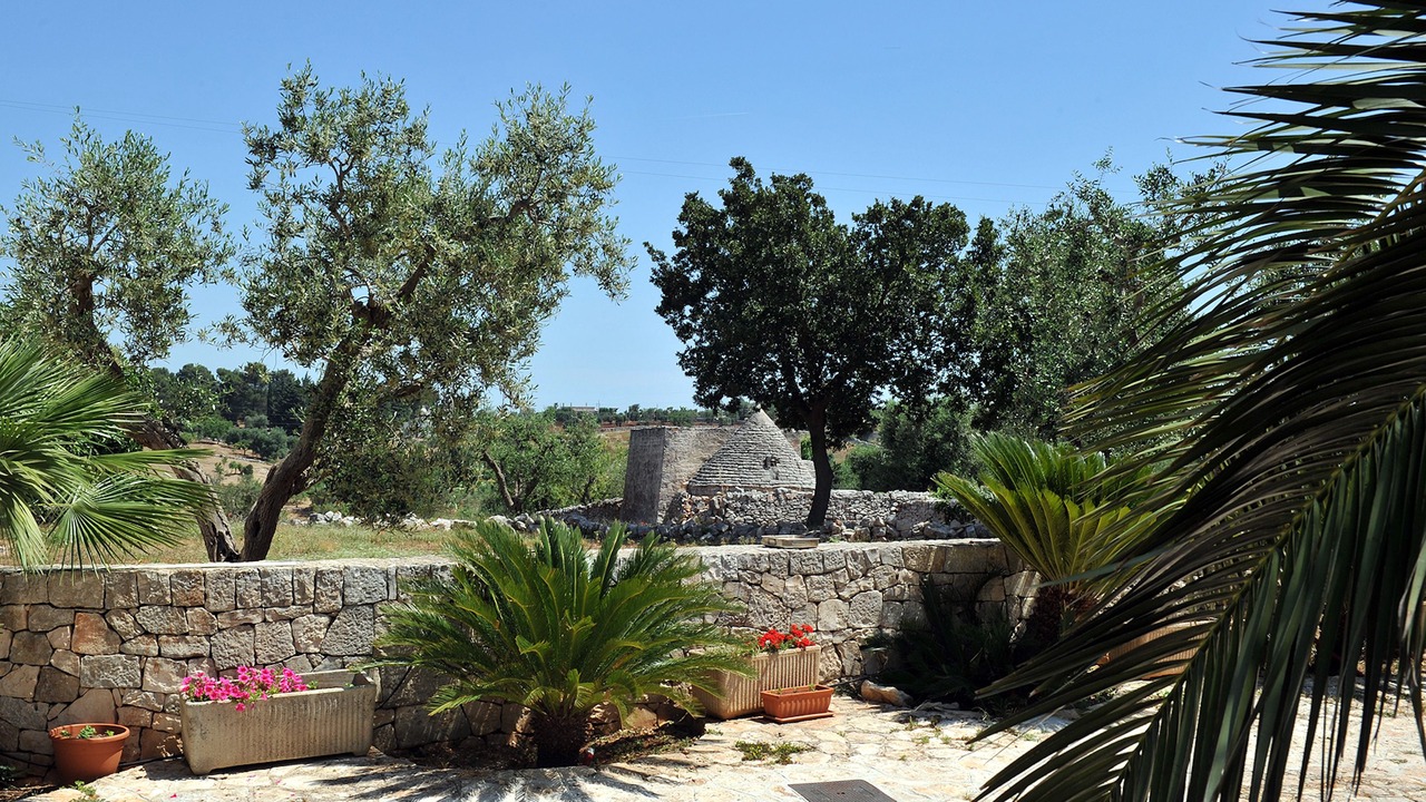 Photo of Outdoor in Cisternino