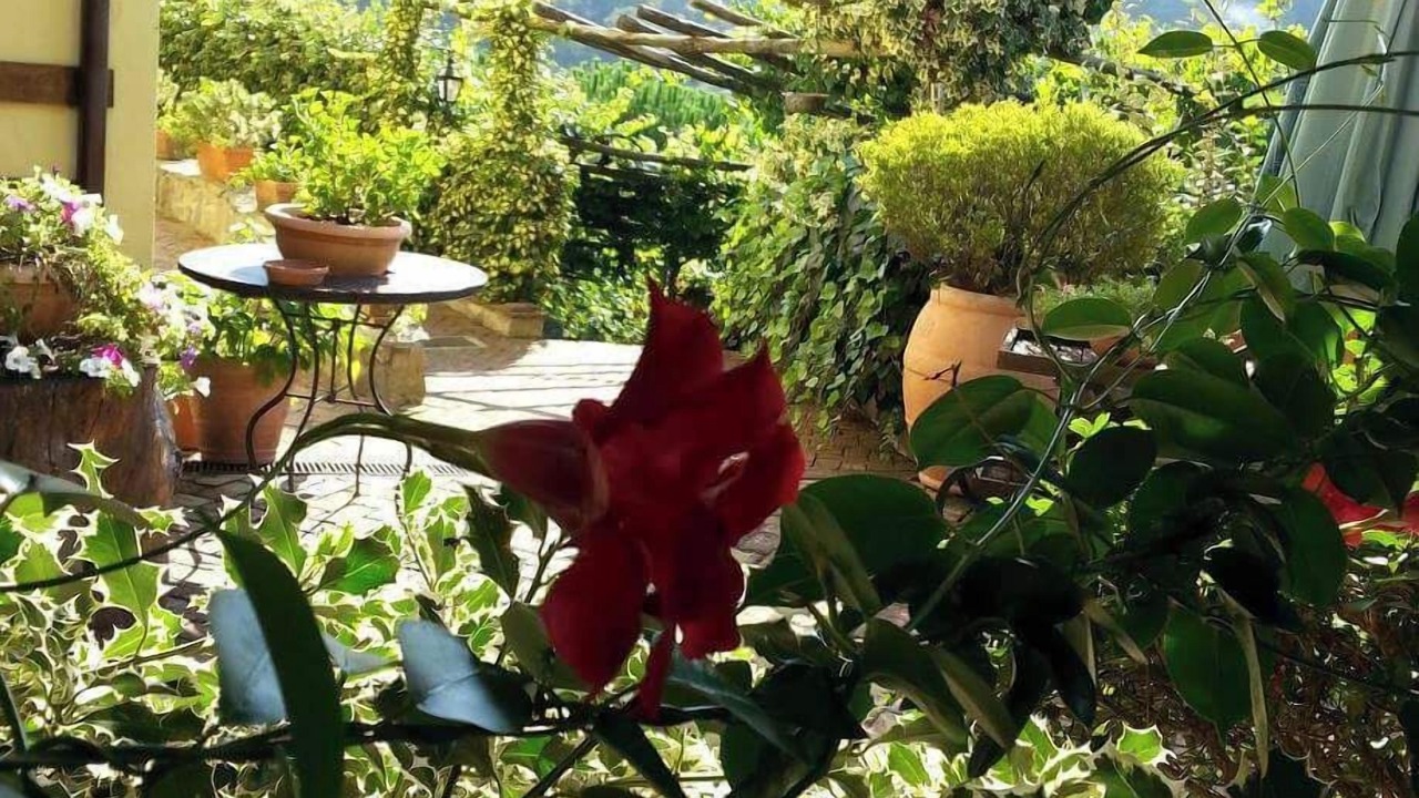 Photo of Outdoor in Fisciano