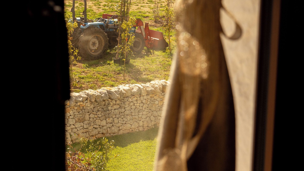 Photo of Others in Conversano