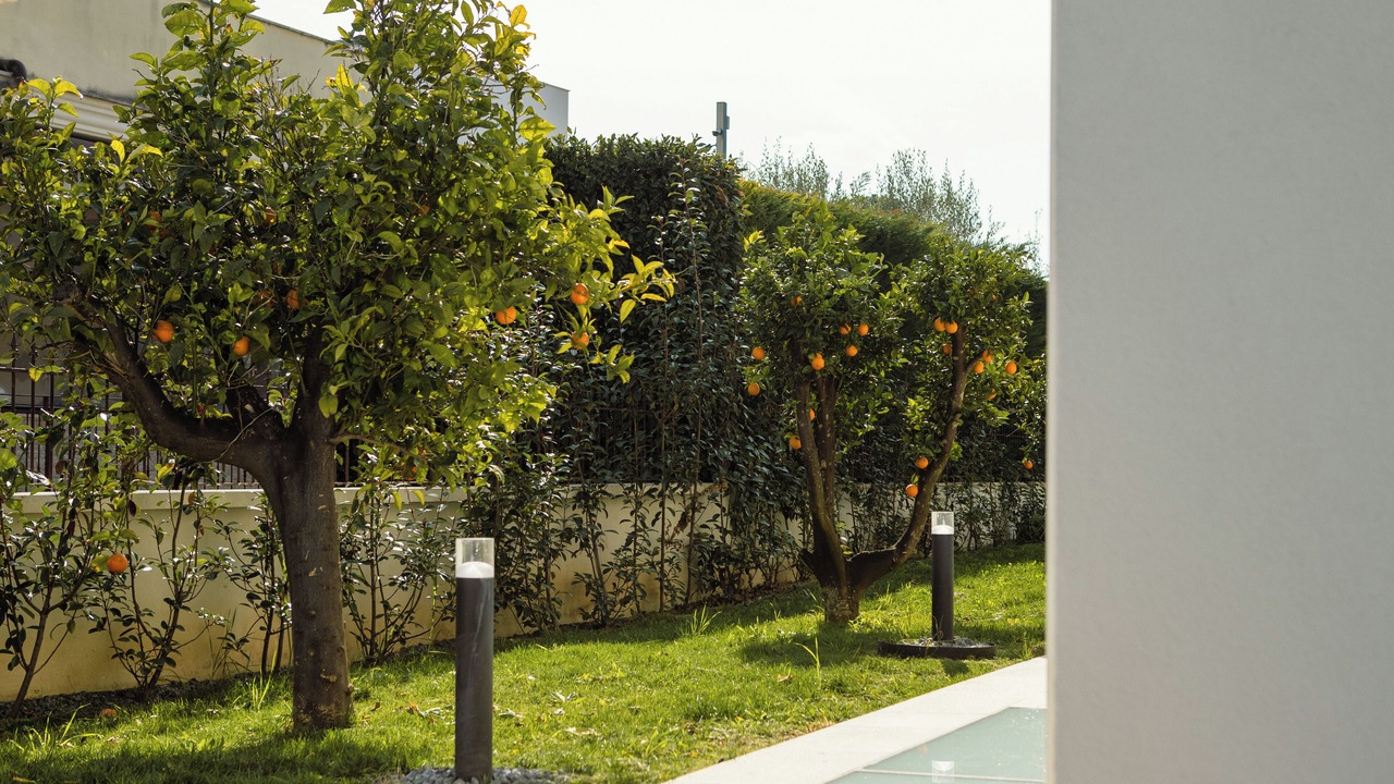 Photo of Outdoor in Trani