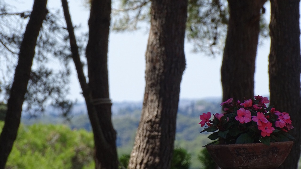 Photo of Outdoor in Otranto