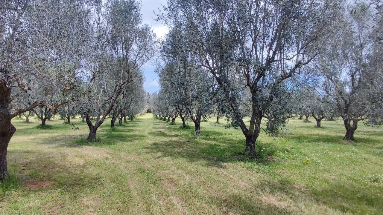 Photo of Outdoor in Giorgilorio