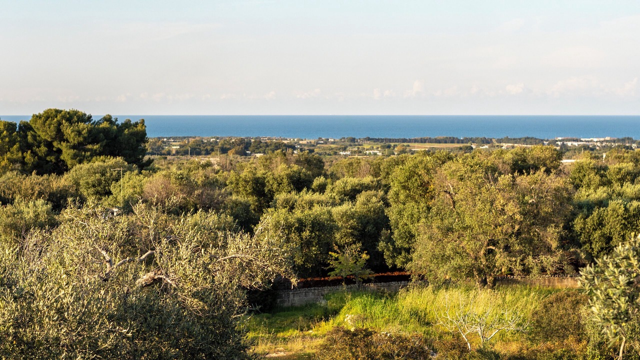 Photo of Outdoor in Carovigno