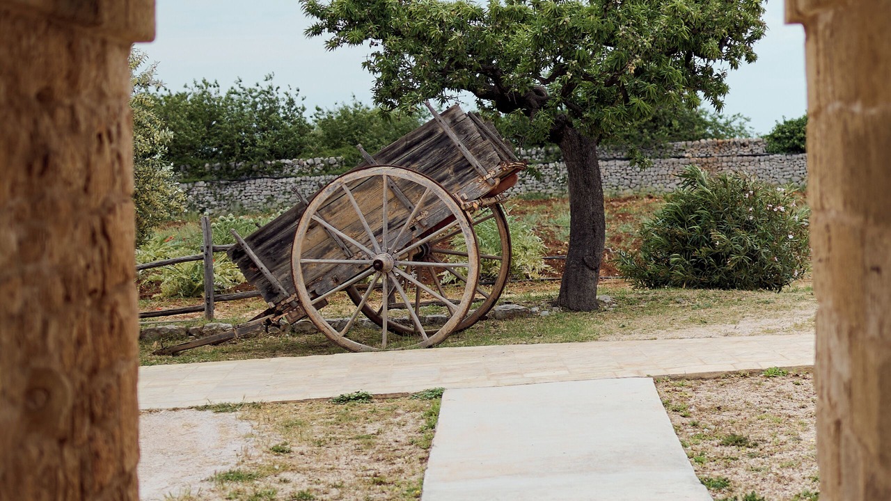 Photo of Others in Conversano