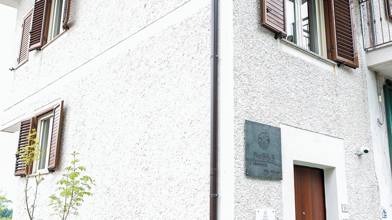 Photo of Outdoor in Laino Castello