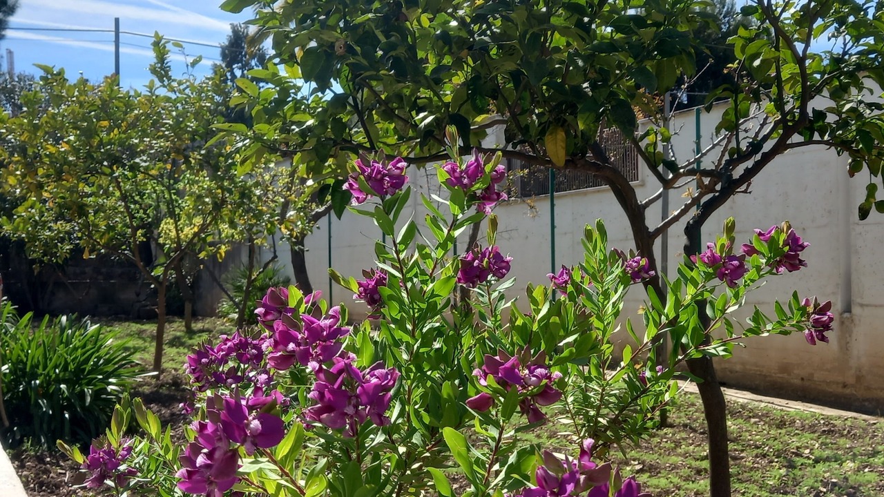 Photo of Outdoor in Bisceglie