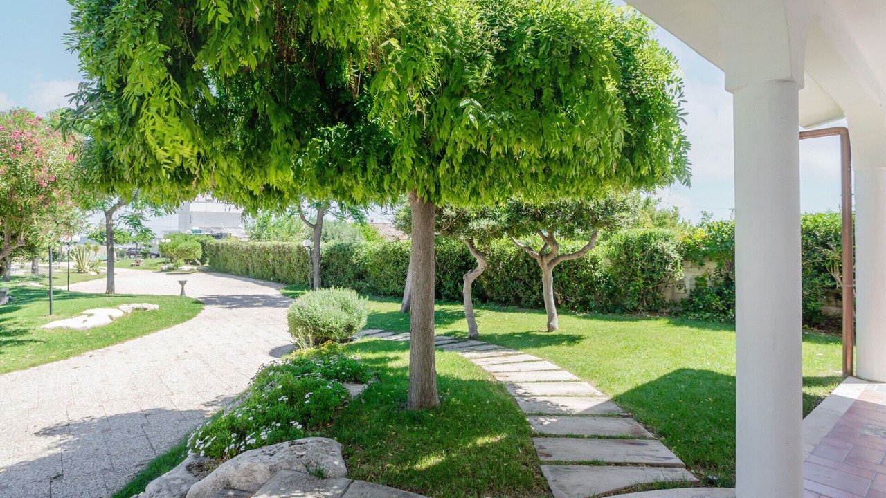 Photo of Outdoor in Torre a Mare