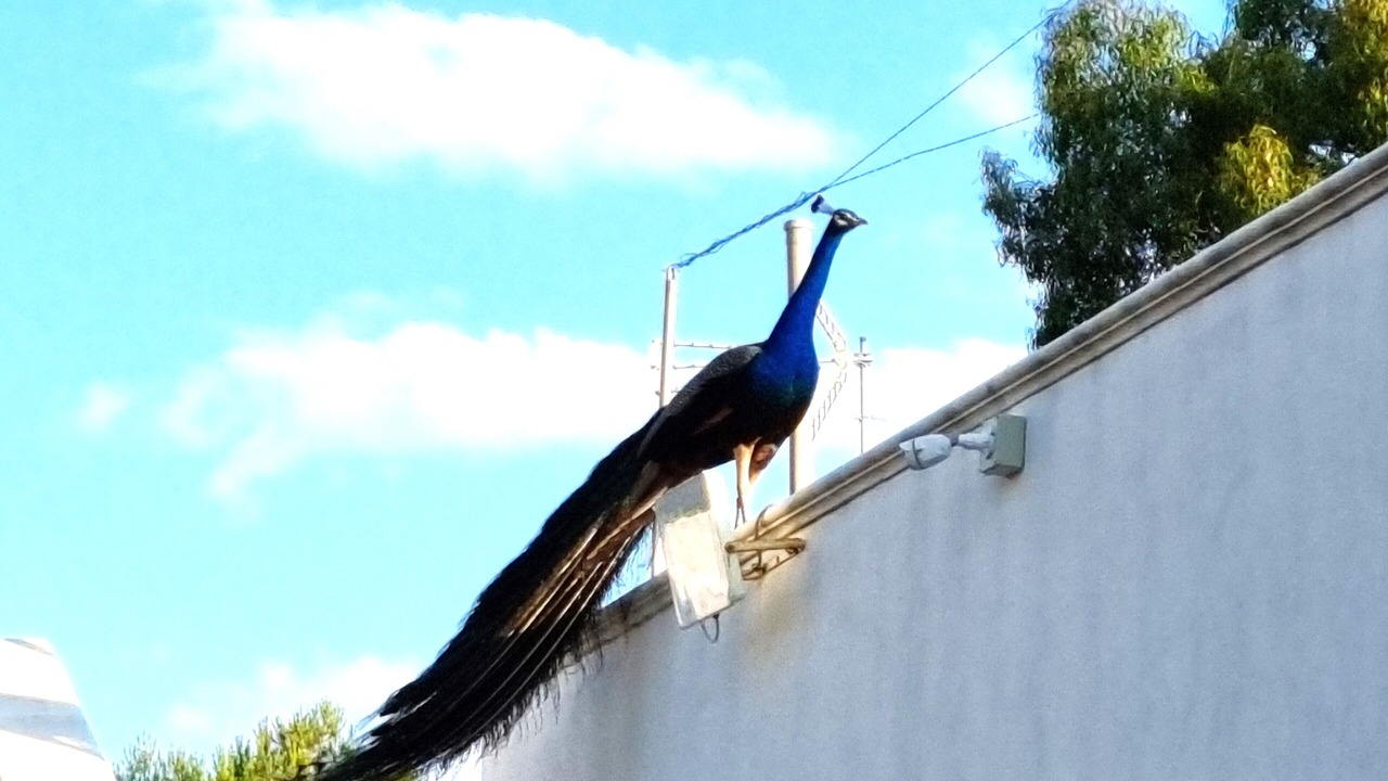 Photo of Outdoor in Municipio 1