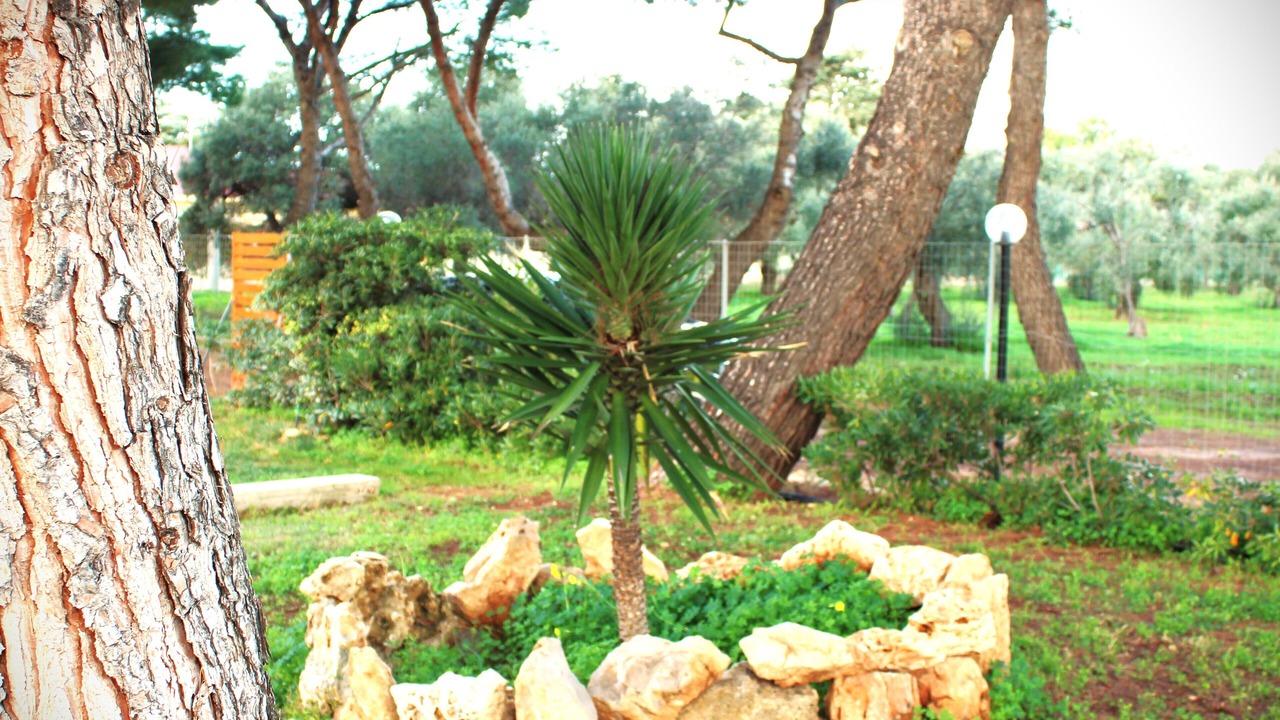 Photo of Outdoor in Municipio 1