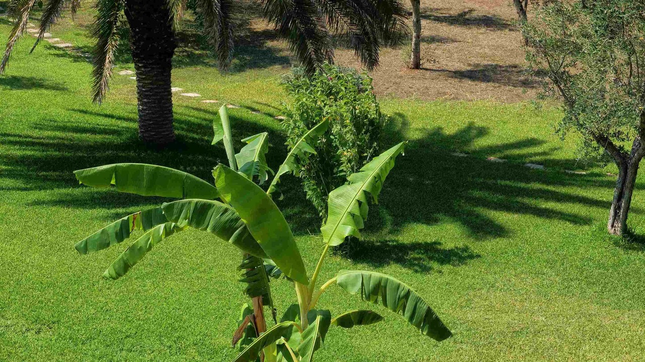 Photo of Outdoor in Cursi