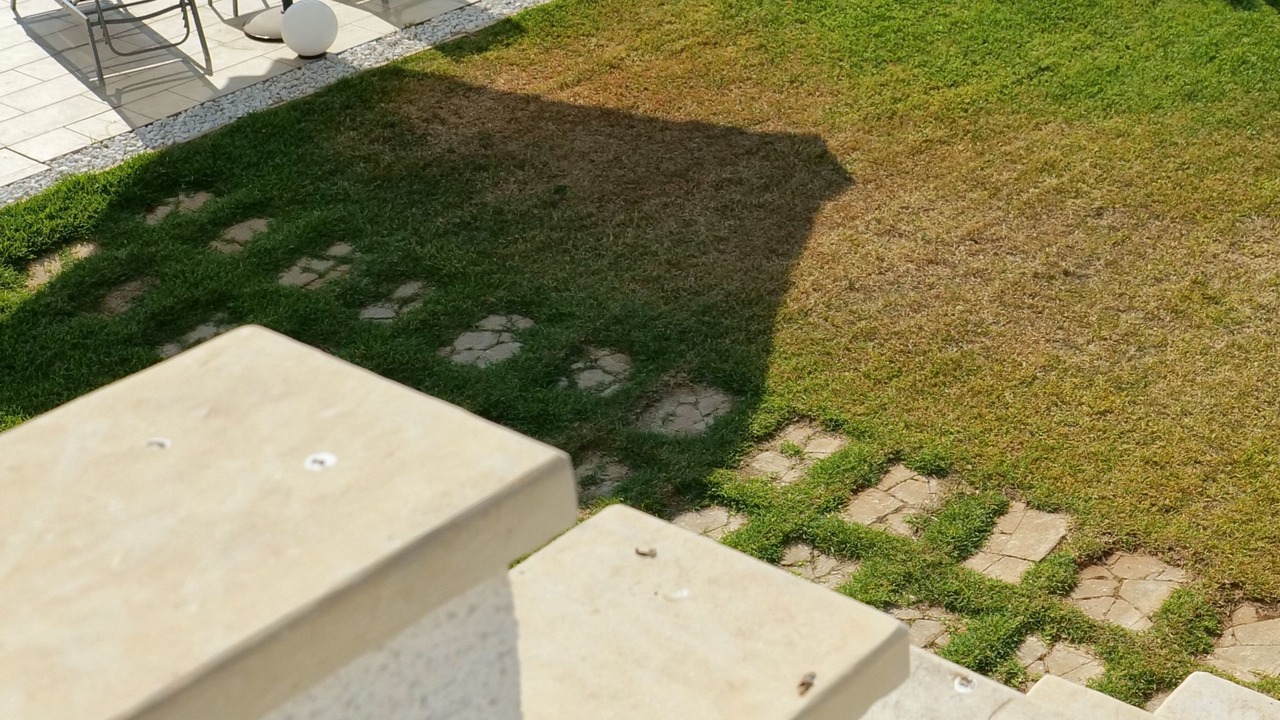 Photo of Outdoor in Cursi