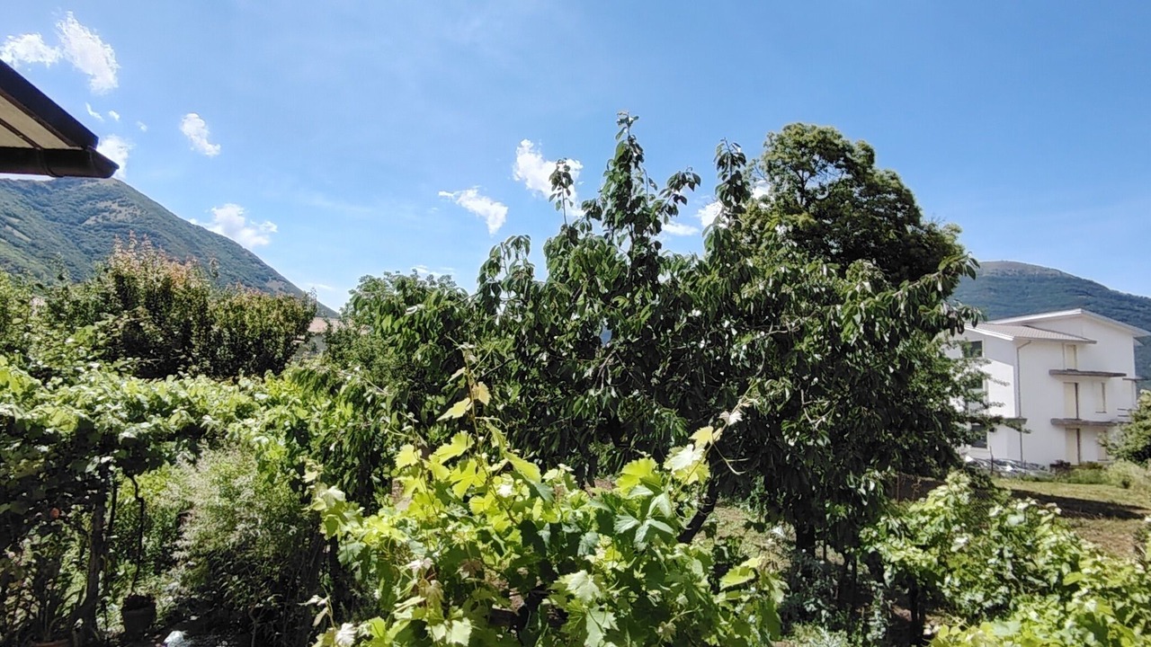 Photo of Outdoor in Trecchina