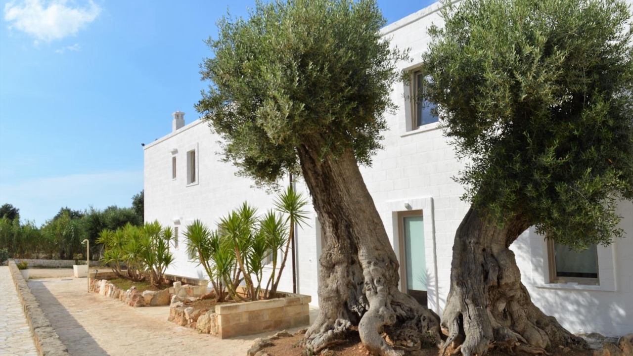 Photo of Outdoor in Monopoli