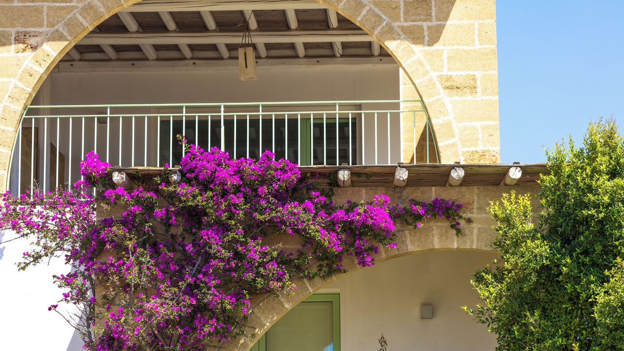 Photo of Bedroom in Castrignano del Capo