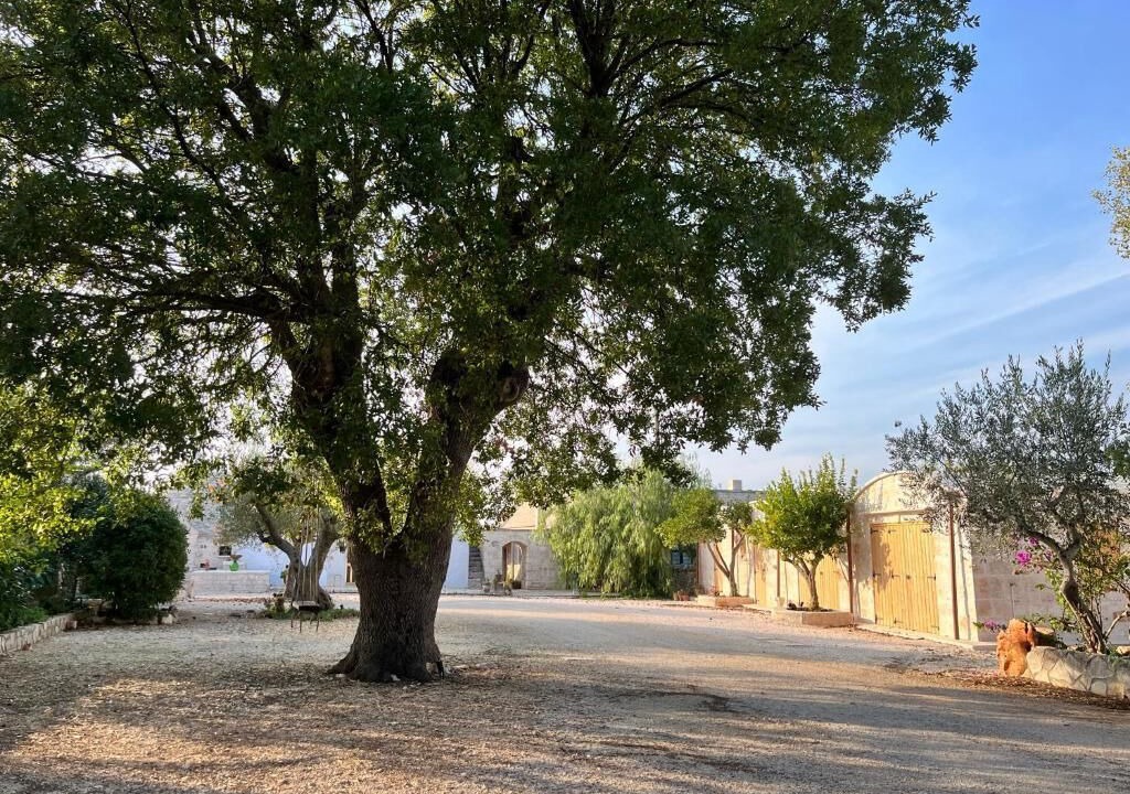 Photo of Outdoor in Locorotondo
