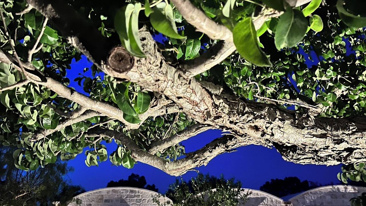 Photo of Outdoor in Locorotondo