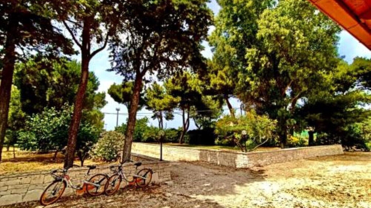 Photo of Outdoor in Municipio 1