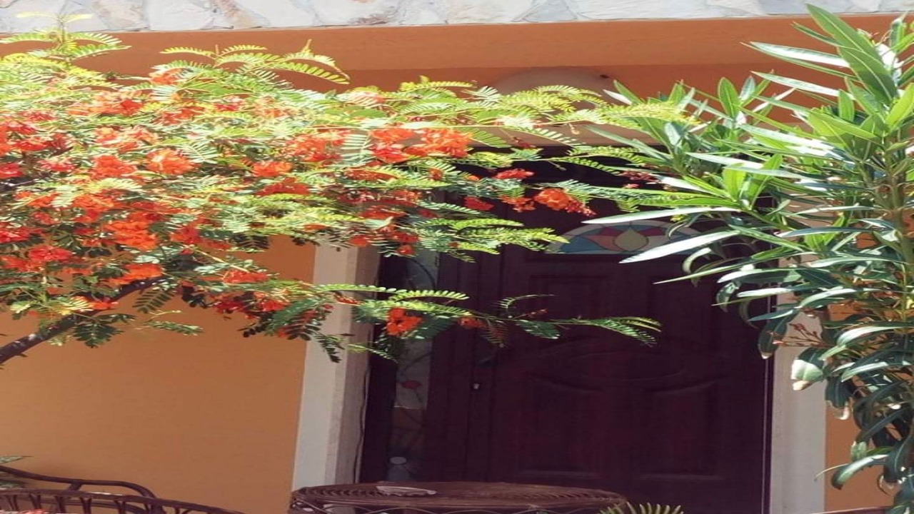 Photo of Outdoor in Capilungo