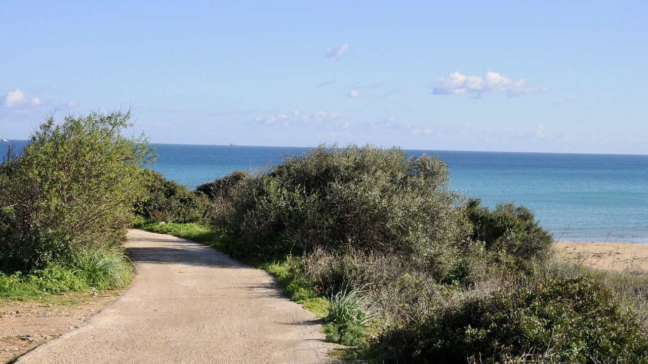 Photo of Others in Noto