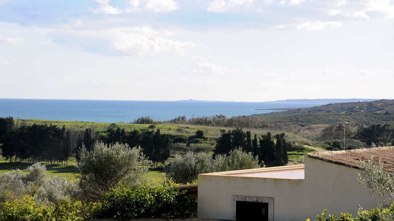 Photo of Others in Noto