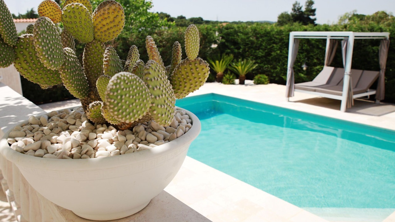 Photo of Outdoor in Locorotondo
