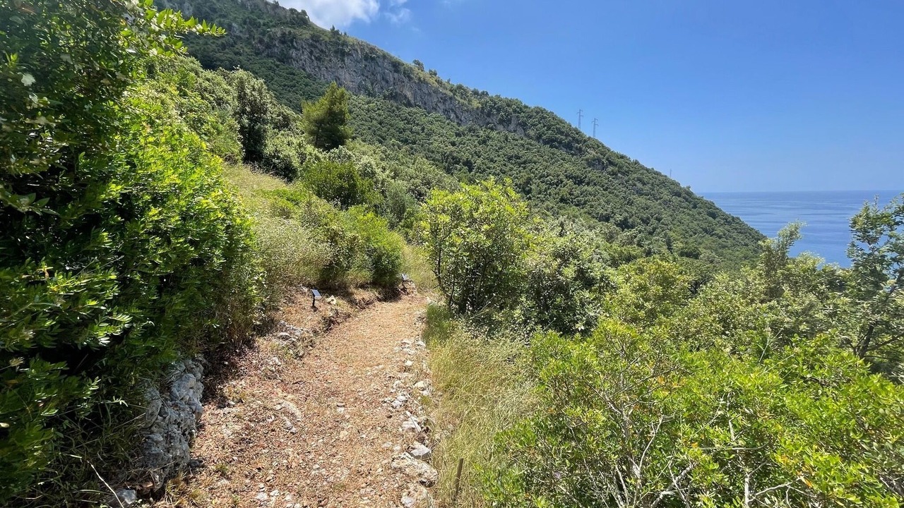 Photo of Outdoor in Cersuta
