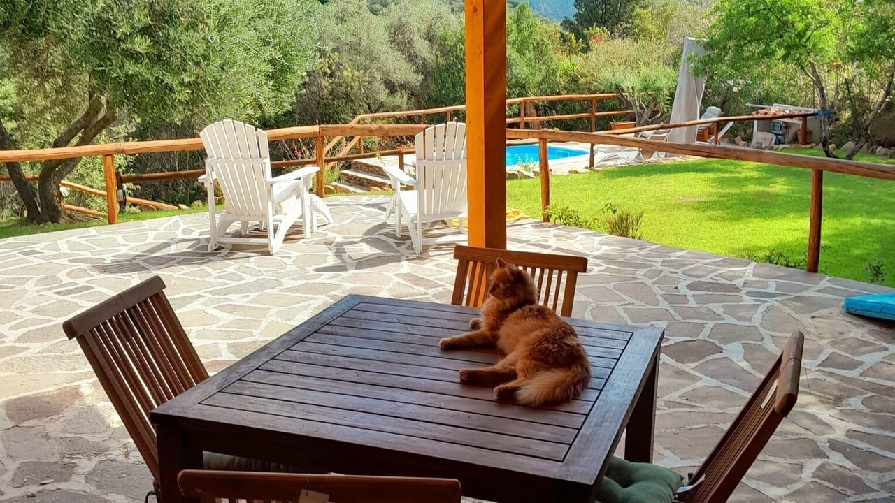 Photo of Outdoor in San Teodoro