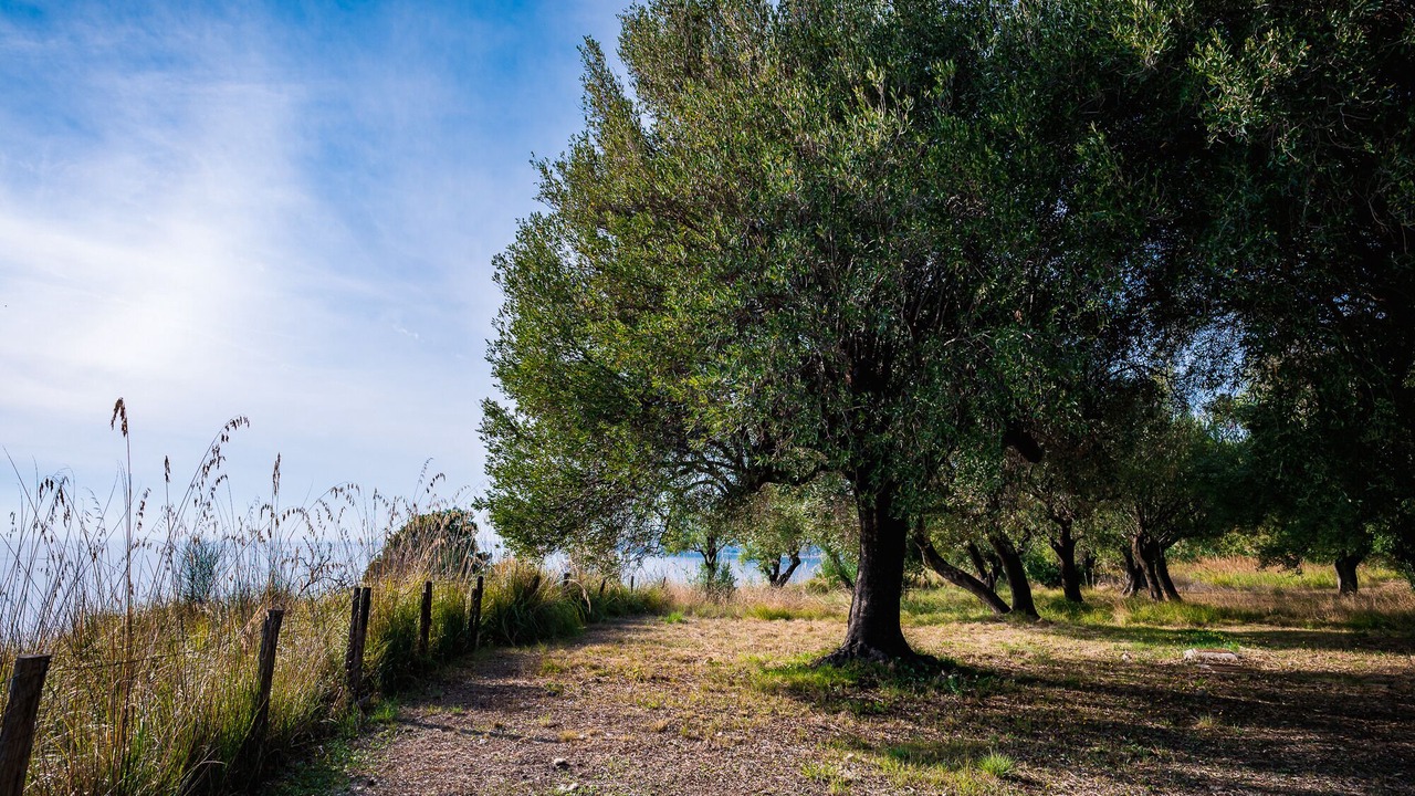 Photo of Outdoor in Marina di Pisciotta