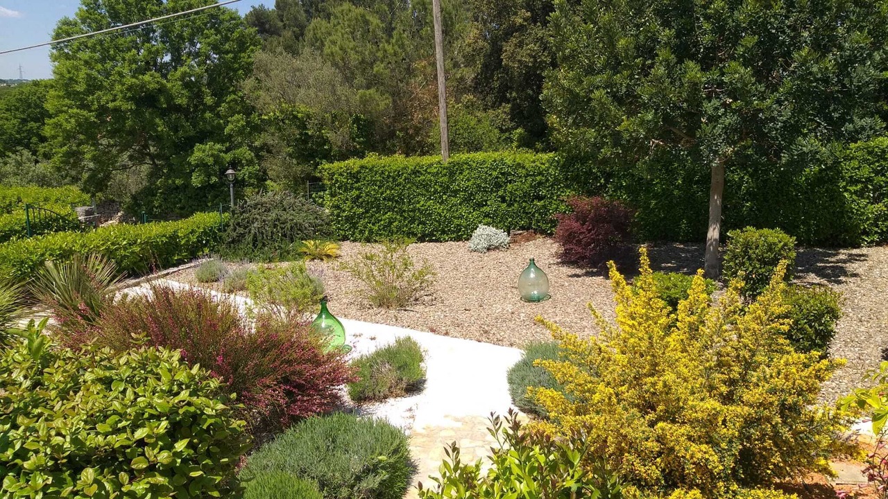 Photo of Outdoor in Lamie di Olimpia