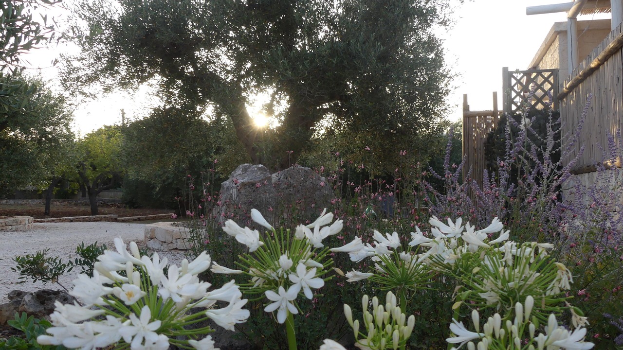 Photo of Outdoor in Locorotondo