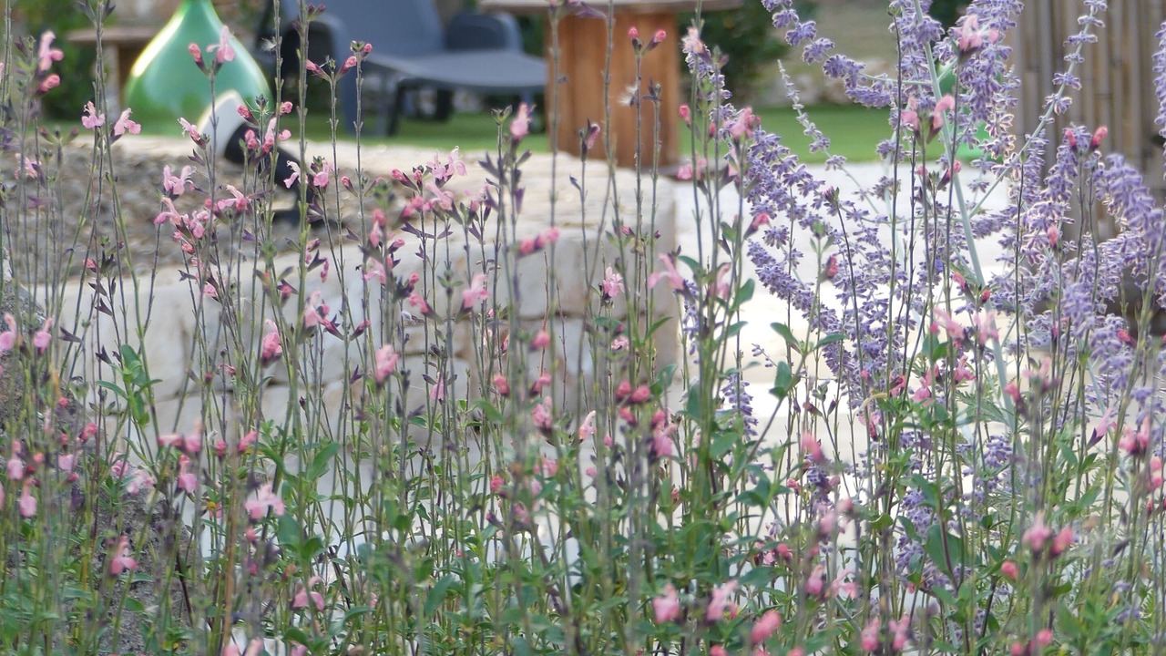 Photo of Outdoor in Locorotondo
