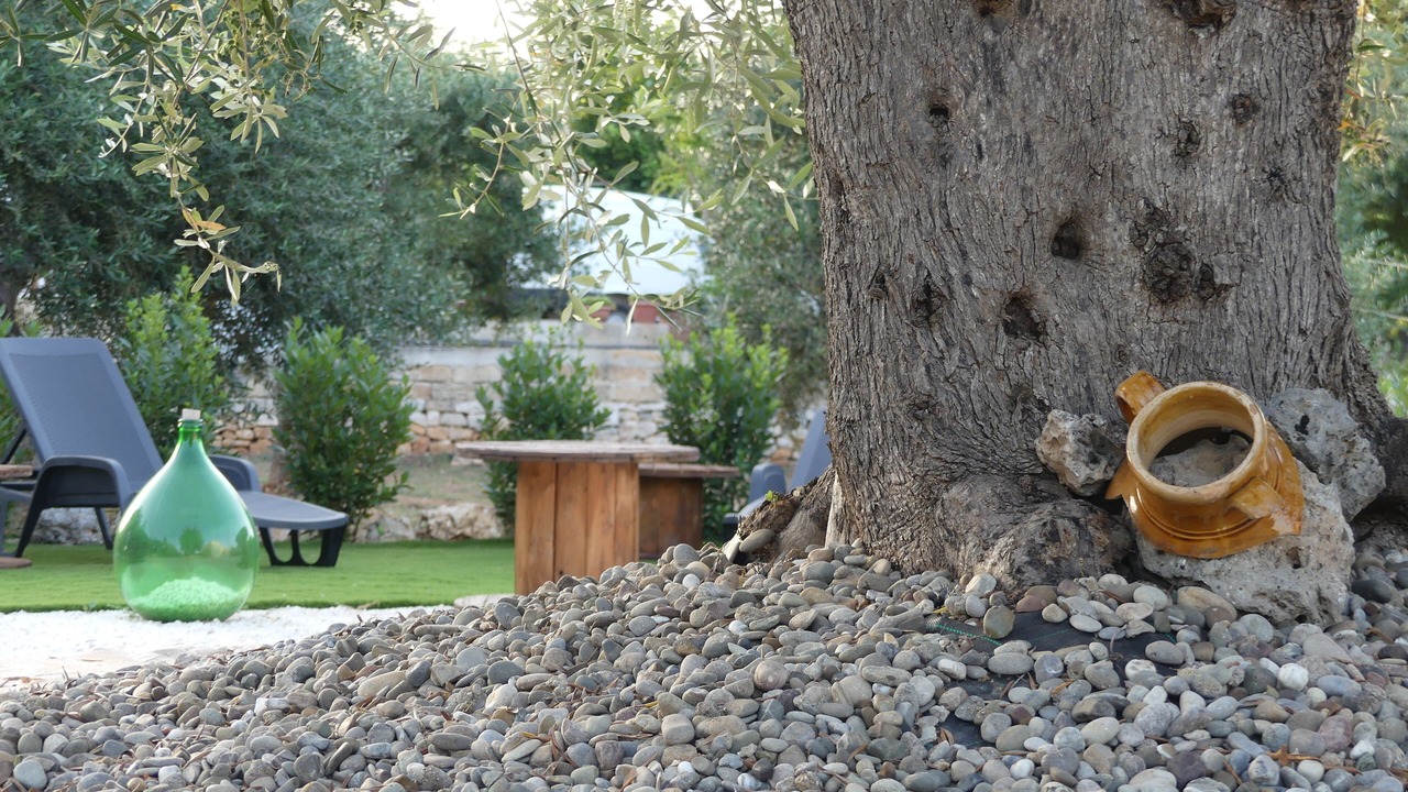 Photo of Outdoor in Locorotondo