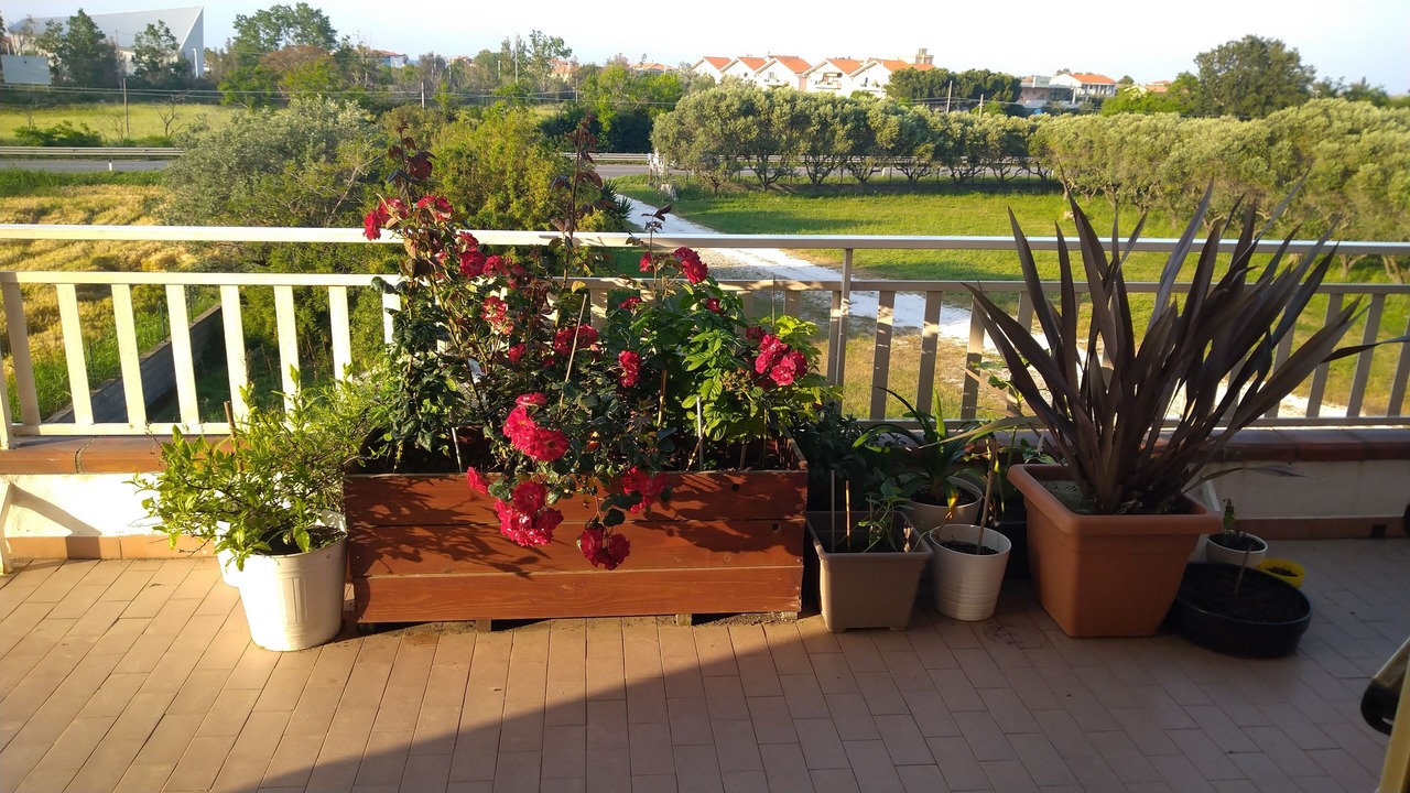 Photo of Outdoor in Montenero di Bisaccia